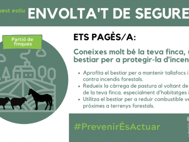 Ets pagés/a