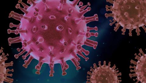 virus