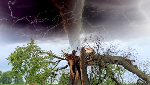 tornado