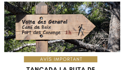 Excursió 