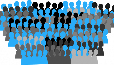 Participació 