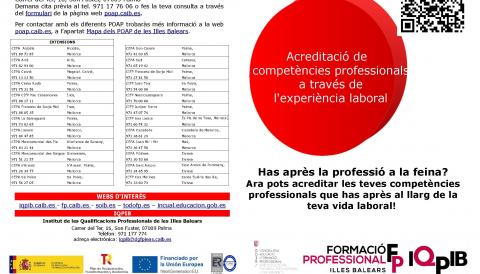 competències professionals