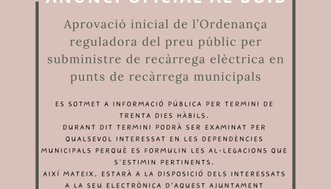 ordenança recarrega cotxes electrics